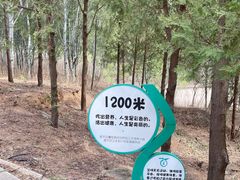 -北京十三陵国家森林公园蟒山景区