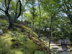 -常寂光寺