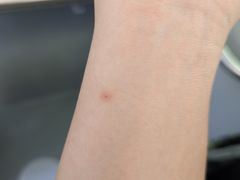 -江湾体育中心游泳馆