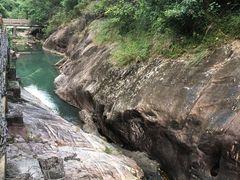 -广州白江湖森林公园