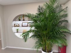 -壹点灵·心理咨询中心(中山公园店)