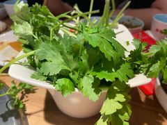 -季季红火锅(长沙步行街店)