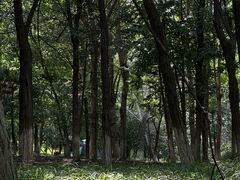 -莫子山公园