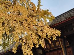 -古大圣慈寺