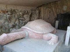 -上海佘山国家森林公园天马山园