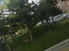 -清华大学-停车场