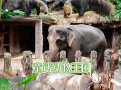-长鹿旅游休博园