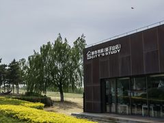 -莫子山公园