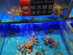 -SEA西雅图海鲜自助餐厅(海乐世界店)