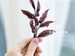 -美斯烘焙培训学院•蛋糕•面包•咖啡(宝安校区)