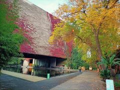 -天津大学·四十二斋餐厅