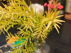 -伯顿西餐厅(厚街香榭丽店)