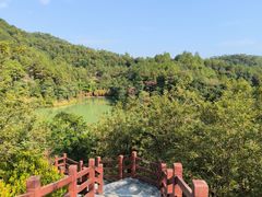 -广州白江湖森林公园