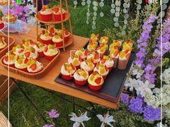 -千灯盛汇·头牌粤菜(致越优城店)