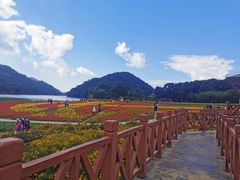 -广州市石门国家森林公园