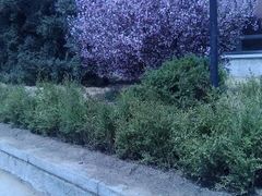 -辽沈战役纪念馆