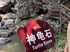 -呀诺达热带雨林