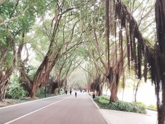 -南宁南湖公园