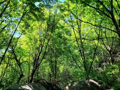 -云岫谷游猎自然风景区