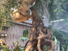 -桂林市花鸟市场