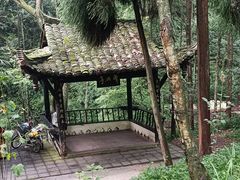 -青城山