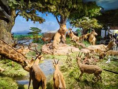 -国家自然博物馆