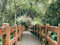 -龙水峡地缝景区