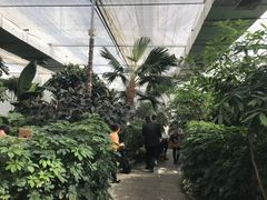 -汤山翠谷生态餐厅