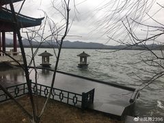 -柳浪闻莺公园