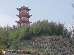 -蔡伦竹海