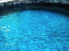 -郑州银基黄帝宫御温泉