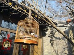 -四喜小胖·北京涮肉(五道营店)