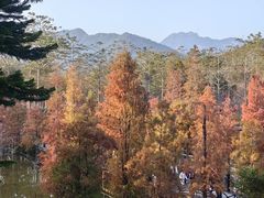 -田野绿世界