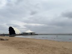 -碧海金沙