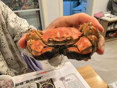 -阳澄湖大闸蟹·琼灵阁牌品牌连锁(吴中总店)