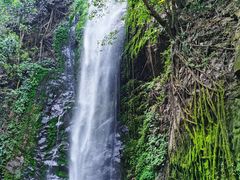 -莫里热带雨林景区