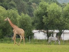 -哈尔滨北方森林动物园