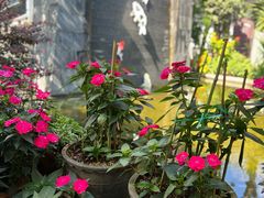 -瑞丰园庭院餐厅·白族传统家常菜