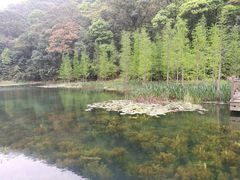 -广州市石门国家森林公园