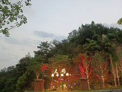 -千岛湖天屿景区