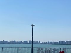 -金鸡湖游船(月光码头)