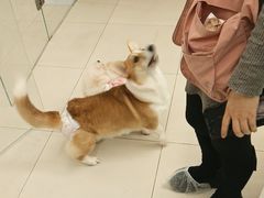 -怪兽屋·羊驼·猫咖·狗咖(俊华广场店)