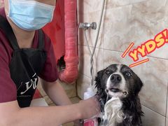 -北京恒爱动物医院(清景园分院)