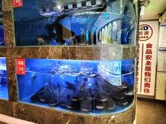 -巴特餐饮6加1音乐餐吧·新疆菜