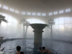 -仁爱团泊湖温泉中心