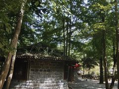-神农架景区