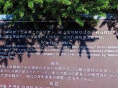 -雁门关景区