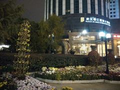 android_upload_pic-西北湖绿化广场