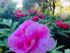-幕燕滨江·长江观音景区
