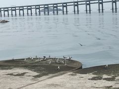 -星海广场